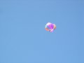 DSCN7128
