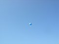 DSCN7139