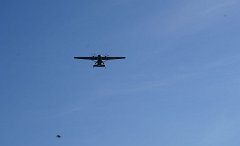 DSC03383