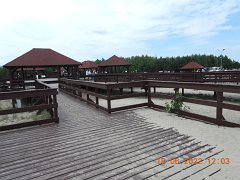 DSCN7063