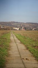 DSC09240
