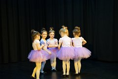 DSC06296