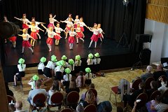 DSC06305