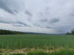 20240511_095958