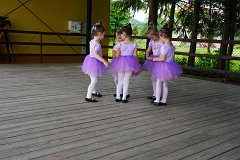 DSC06447
