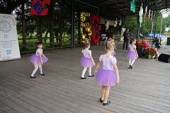 DSC06790