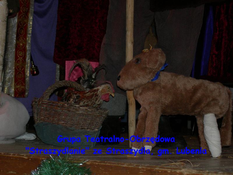DSCN2337.jpg