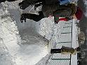 DSCN6978