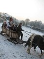 IMG_1928