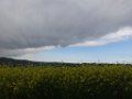 DSC01823
