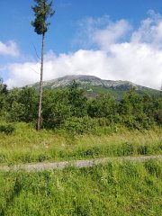 IMG_20180630_083932