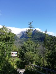 IMG_20180630_090337